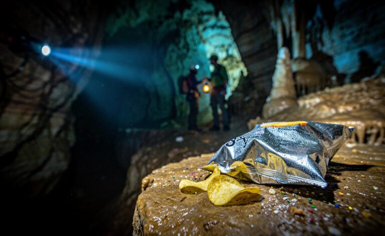 Uno ha lasciato una borsa di patatine in una grotta dimenticata: quello che è successo dopo ha stupito tutti.